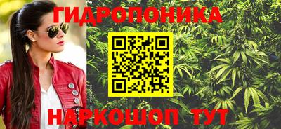 бошки Кимры